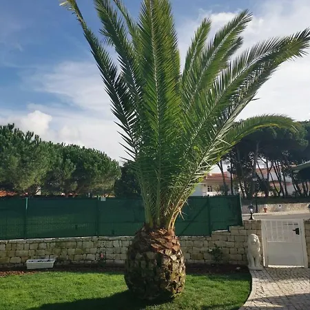 Lala Villa *